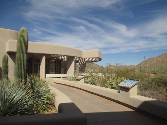 Saguaro National Park