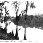 Suwannee River, Old Time Florida
